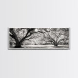 Sprawling Trees, Oak Forest, Sunlit Canopy, Majestic Branches, Canvas Print, Nature Wall Art, Boho Decor, Living Room Statement Piece