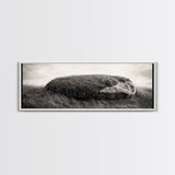 Heather Rock, Grassy Field, Natural Simplicity, Earthy Tones, Canvas Print, Rustic Home Decor, Minimalist Nature Wall Art, Fall Inspired Art
