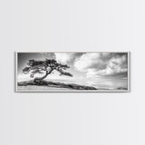 Windswept Tree, Coastal Nature, Ocean Cliff View, Framed Canvas Print, Zen Wall Art, Minimalist Decor, Calm Living Room Accent