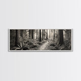 Redwood Forest, Nature Path, Fern Understory, Framed Canvas Print, Moody Nature Photography, Office Wall Art, Forest Bathing Vibes