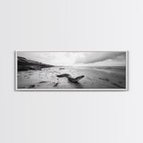 Snake On Beach, Coastal Wildlife, Dramatic Black and White, Framed Canvas Print, Nature Wall Art, Minimalist Decor, Office Statement Art