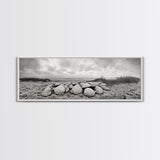 Scallop Shell Cluster, Dune Beach Scene, Canvas Print, Coastal Kitchen Decor, Minimalist Shell Wall Art, Natural Beach Aesthetic