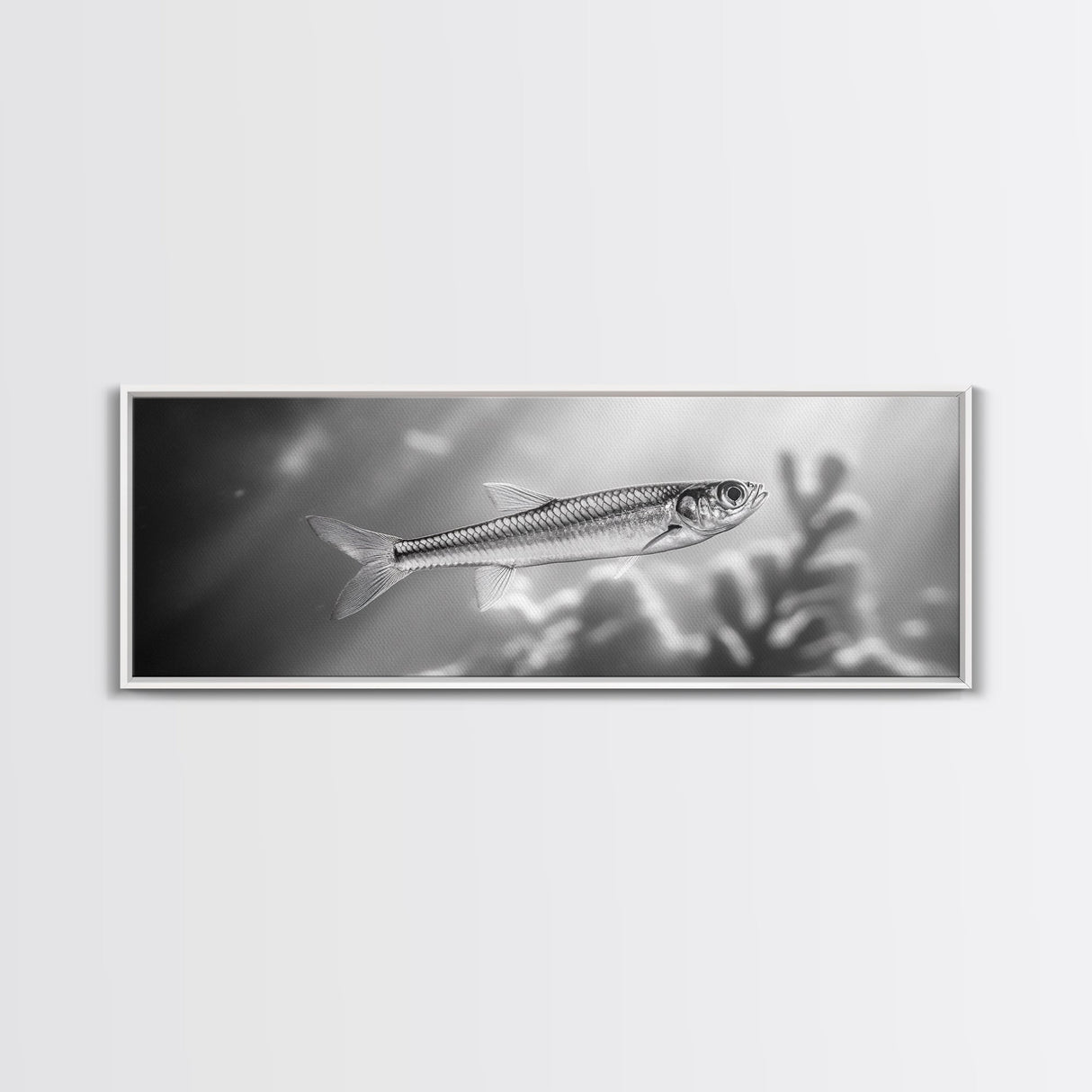 Silver Fish Closeup, Underwater Life, Marine Wildlife Art, Black and White Framed Canvas Print, Coastal Bathroom or Den Wall Art