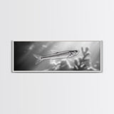 Silver Fish Closeup, Underwater Life, Marine Wildlife Art, Black and White Framed Canvas Print, Coastal Bathroom or Den Wall Art