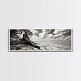 Coastal Tree Roots, Windswept Beach, Natural Form, Framed Canvas Print, Boho Wall Art, Entryway Decor, Beach House Aesthetic