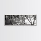 Forest Path, Tree Tunnel, Light Shadows, Woodland Magic, Framed Canvas Print, Nature Lover Gift, Entryway Wall Art, Modern Rustic Style