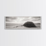 Windswept Dunes, Coastal Brush, Tumbleweed Form, Beach Nature, Framed Canvas Print, Fall Wall Art, Rustic Decor, Neutral Bedroom Style