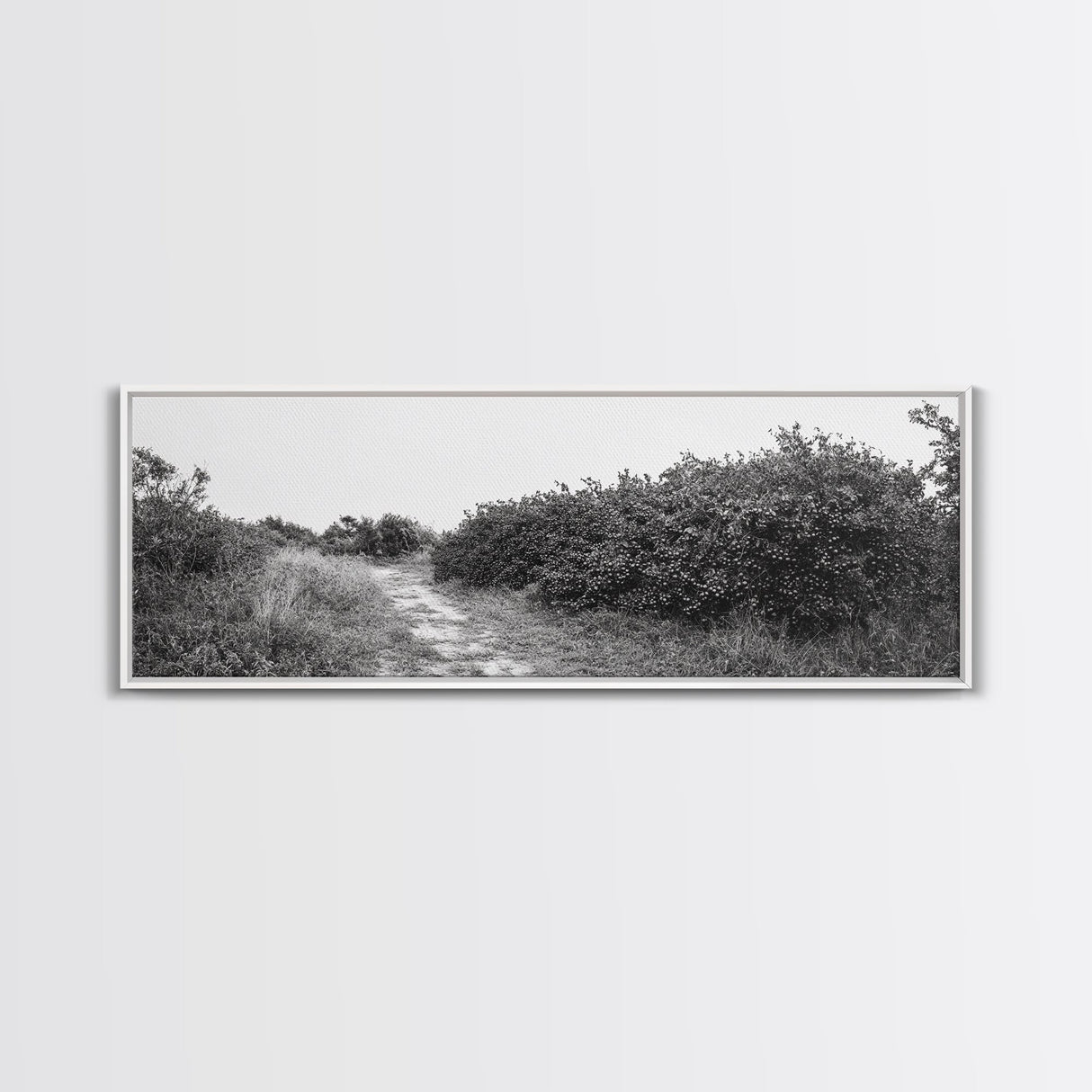 Wild Apple Path, Nature Overgrowth, Autumn Orchard Trail, Canvas Print, Fall Farmhouse Kitchen Art, Rustic Seasonal Wall Decor