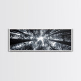 Redwood Trees, Forest Canopy, Looking Upward, Canvas Print, Black and White Nature Art, Meditation Room Decor, Minimalist Wall Art