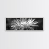 Soft Bloom, Desert Cactus Flower, Close-Up Botanical, Modern Black White Art, Framed Canvas Print, Bathroom Wall Art, Nature Photography
