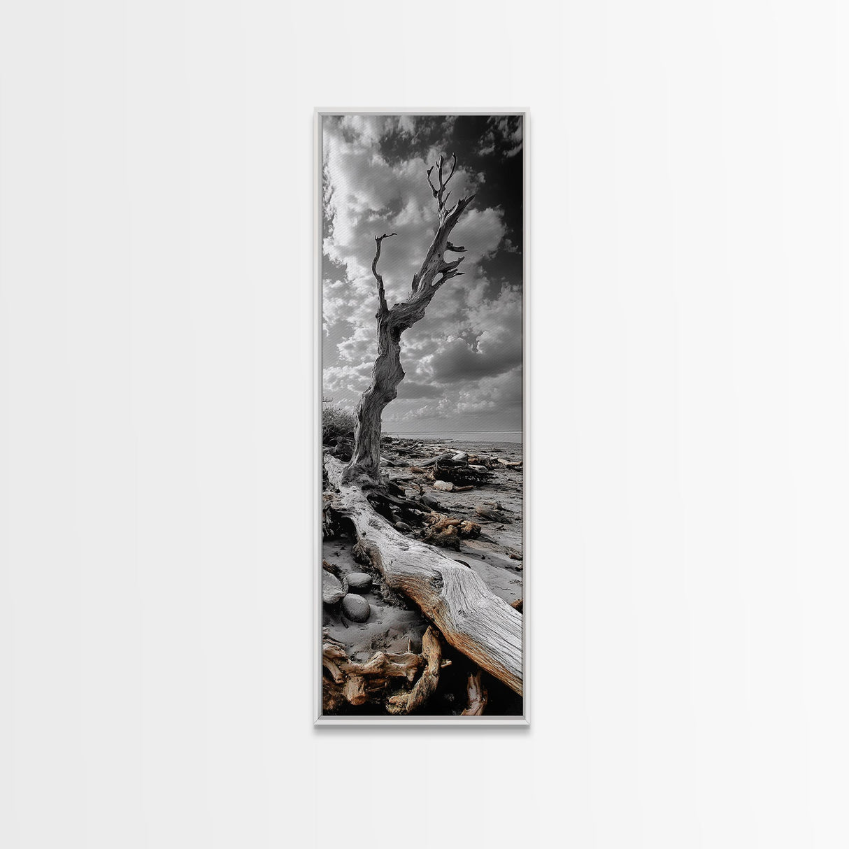 Weathered Tree, Coastal Roots, Dramatic Sky, Natural Form – Canvas Print, Living Room Wall Art, Monochrome Photography, Driftwood Decor