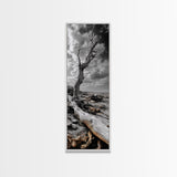 Weathered Tree, Coastal Roots, Dramatic Sky, Natural Form – Canvas Print, Living Room Wall Art, Monochrome Photography, Driftwood Decor