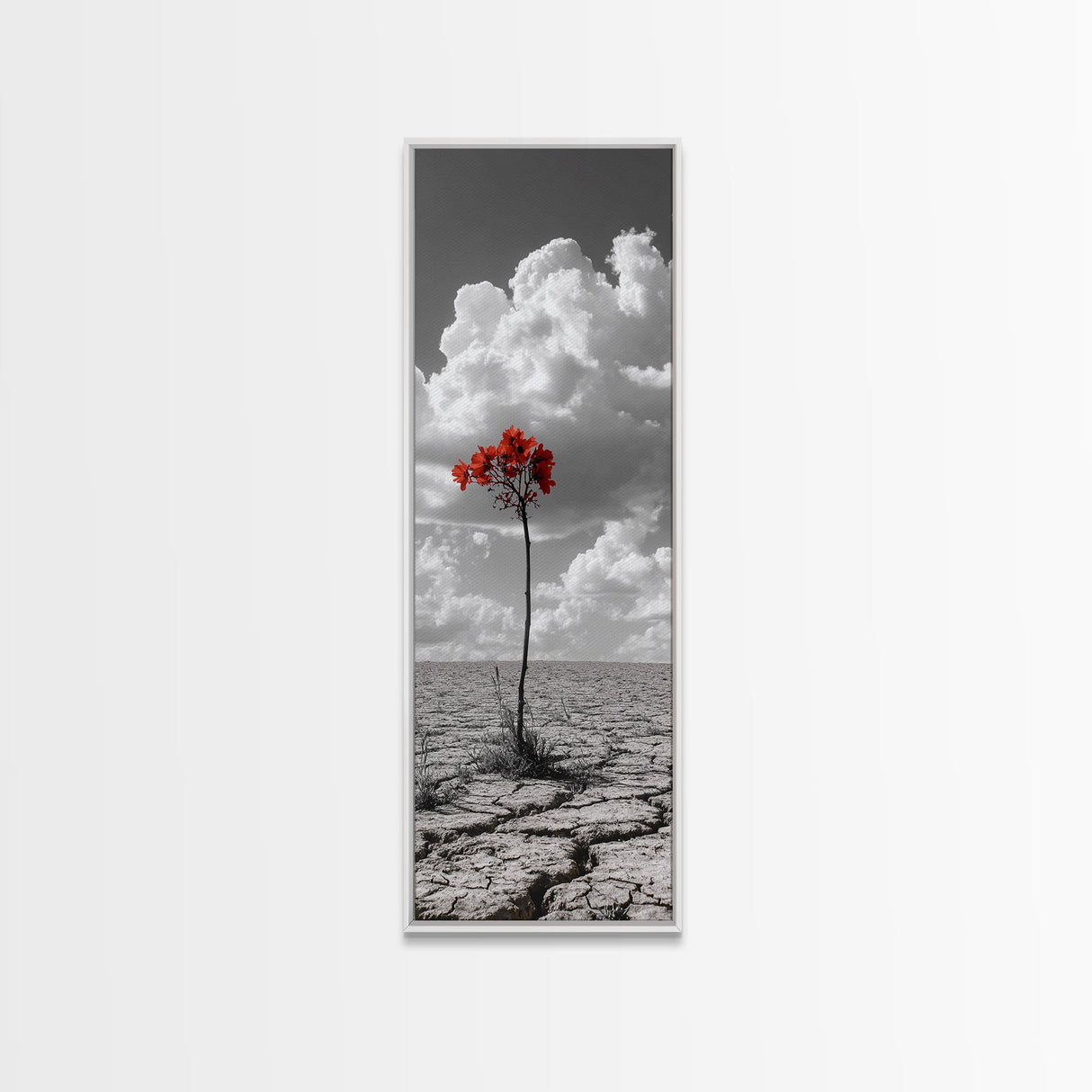 Red Bloom, Desert Flower, Solitary Beauty, Bold Nature, Framed Canvas Print, Dramatic Wall Art, Modern Bedroom Decor, Minimalist Botanical Art