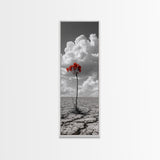 Red Bloom, Desert Flower, Solitary Beauty, Bold Nature, Framed Canvas Print, Dramatic Wall Art, Modern Bedroom Decor, Minimalist Botanical Art