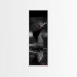 Loon Bird, Red Eye, Monochrome Wildlife, Nature Framed Canvas Print, modern living room wall art, black and white animal art