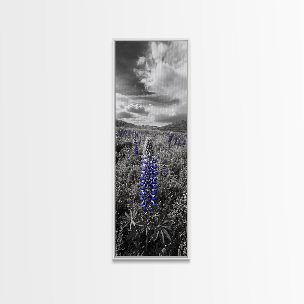 Blue Lupine, Wildflower Meadow, Cloudy Sky, Spring Bloom Framed Canvas Print, floral nature art, botanical hallway wall decor
