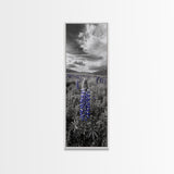 Blue Lupine, Wildflower Meadow, Cloudy Sky, Spring Bloom Framed Canvas Print, floral nature art, botanical hallway wall decor