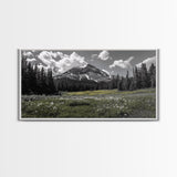 Mountain, Meadow, Wildflowers, Alpine meadow bloom and majestic peak on this Framed Canvas Print, serene Nature Wall Art for Entryway
