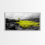 Lone Tree Lava, Surreal Earth Tones Decor, Abstract Volcanic Art, Black and Yellow Landscape, Canvas Print, Boho Living Room Accent