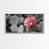 Pink Cactus Bloom, Desert Flower Closeup, Botanical Art, Canvas Print, Southwest Decor, Kitchen Wall Art, Nature Photography Print