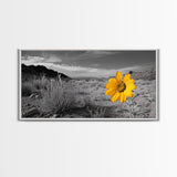 Yellow Flower, Desert Bloom, Monochrome Landscape, Canvas Print, Botanical Wall Art, Minimalist Nature Decor, Modern Kitchen Accent