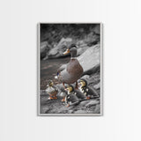 Duck Family, Nature Wildlife, Adorable Ducklings, Framed Canvas Print, Nursery Animal Wall Art, Cozy Farmhouse Decor, Fall Art Print