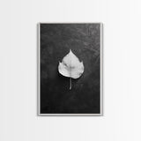 Monochrome Leaf, Nature Minimal, Still Life, Moody Art, Framed Canvas Print, Fall Wall Art, Kitchen Decor, Neutral Modern Aesthetic