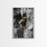 Fuzzy Bee Closeup, Insect Macro, Nature Texture, Framed Canvas Print, Wildlife Wall Art, Entomology Decor, Nature Photography