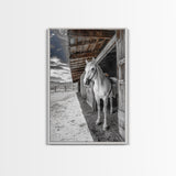 White Horse, Western Ranch, Rustic Stable, Cowboy Framed Canvas Print, Farmhouse Wall Art, Country Living Room Decor, Black White Art