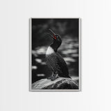 Loon Call, Singing Bird, Red Beak, Monochrome Framed Canvas Print, Wildlife Wall Decor, Bird Lover Wall Art, Rustic Cabin Accent
