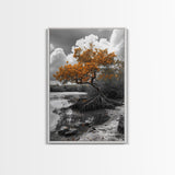 Mangrove Tree, Coastal Roots, Swamp Nature, Fall Tones Canvas Print, Tropical Wetlands Wall Art, Earthy Living Room Decor, Moody Art