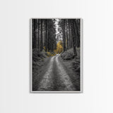 Forest Path, Yellow Trees, Autumn Trail, Framed Canvas Print, Fall Wall Art, Woodland Nature Decor, Cozy Home Accent, Entryway Artwork