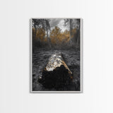 Fallen Log, Autumn Forest, Nature Transition, Framed Canvas Print, Rustic Fall Decor, Cabin Wall Art, Woodland Photography