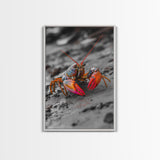 Colorful Lobster, Beach Wildlife, Close-Up Macro Art, Framed Canvas Print, Kitchen Wall Art, Coastal Marine Decor, Vibrant Style