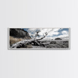 Driftwood, Coastal Tree, Beach Skeleton, Ocean Landscape, Framed Canvas Print, Coastal Decor, Neutral Tones, Office Wall Art