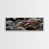 Rainbow Crab, Coastal Creature, Ocean Life, Vibrant Nature, Framed Canvas Print, Bathroom Wall Art, Coastal Home Decor