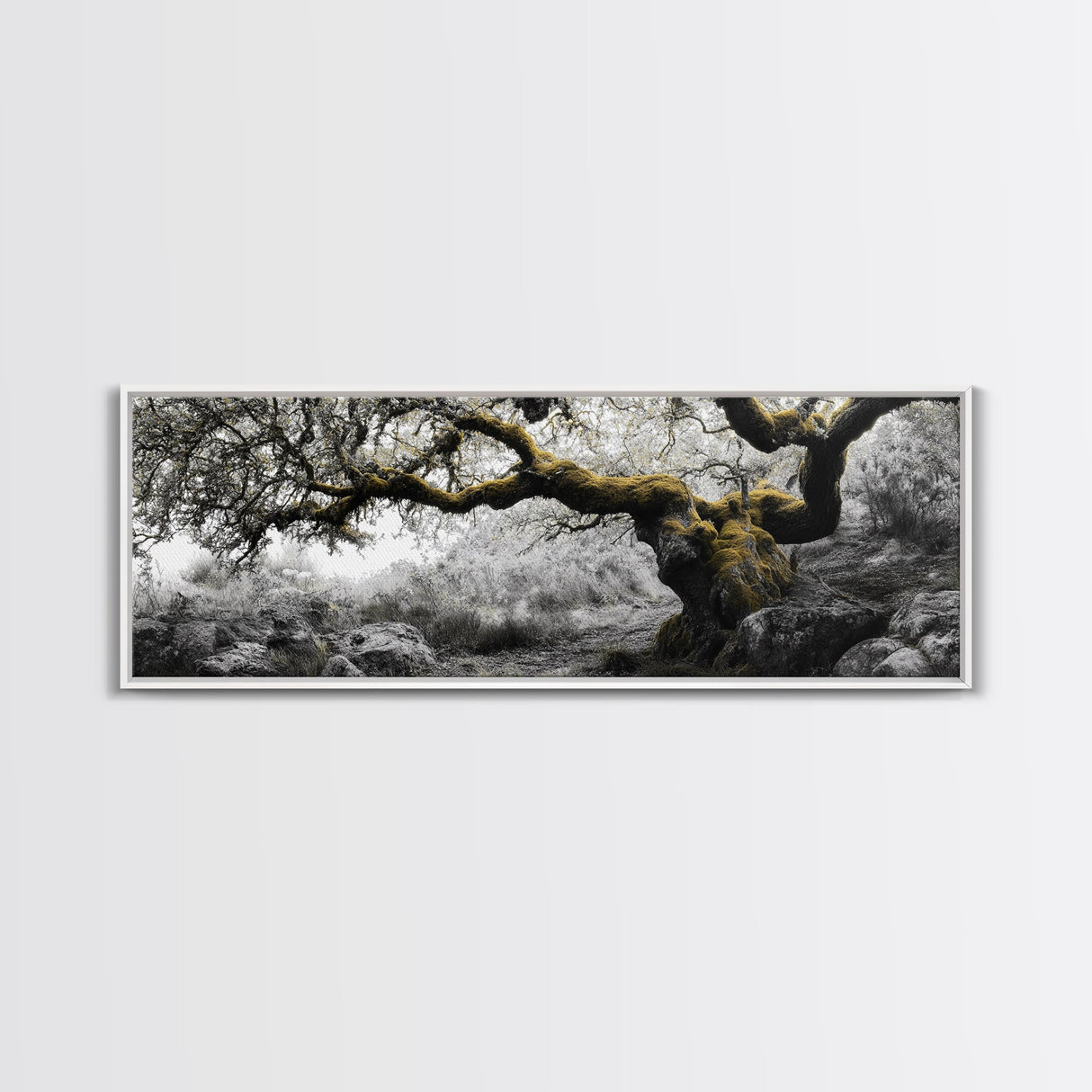 Twisted Oak, Mossy Branches, Forest Giant, Canvas Print, enchanted woodland art, fantasy living room decor, fairytale vibe