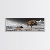 Prairie Cabin, Golden Tree, Rural Landscape, Open Sky, Framed Canvas Print, Country Decor, Farmhouse Wall Art, Rustic Bedroom Style