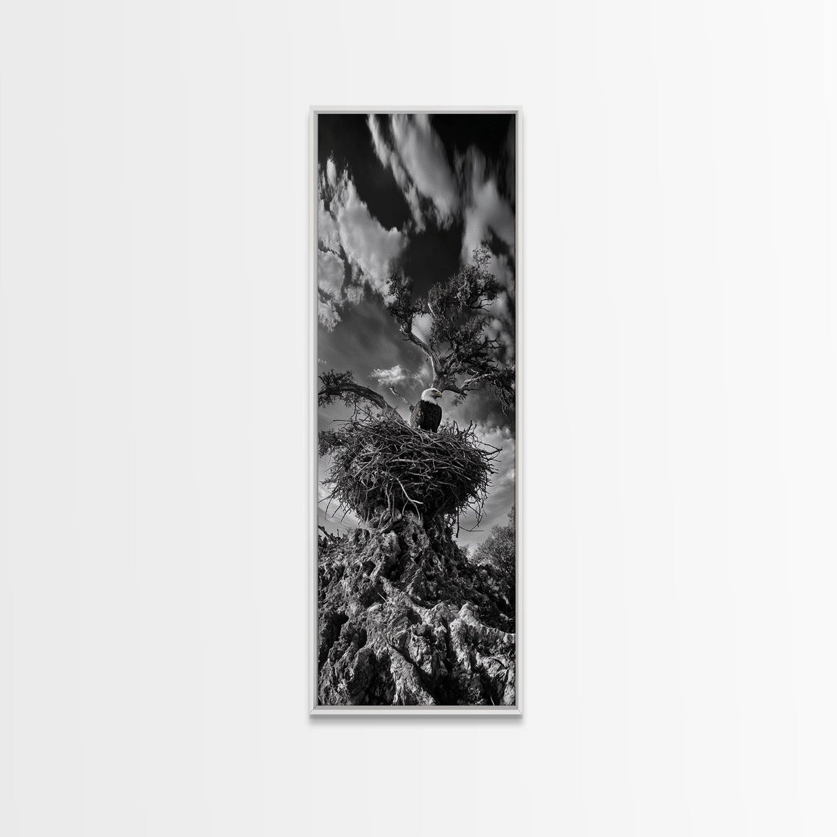 Bald Eagle Nest ,Framed Canvas Print, bird art, moody art, rustic décor, farmhouse art, gift idea, southwest wall art, landscape painting
