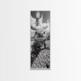Lizard Close-Up, Framed Canvas Print, wildlife photography, rustic wall art, southwest wall art, desert animal art, black and white home decor