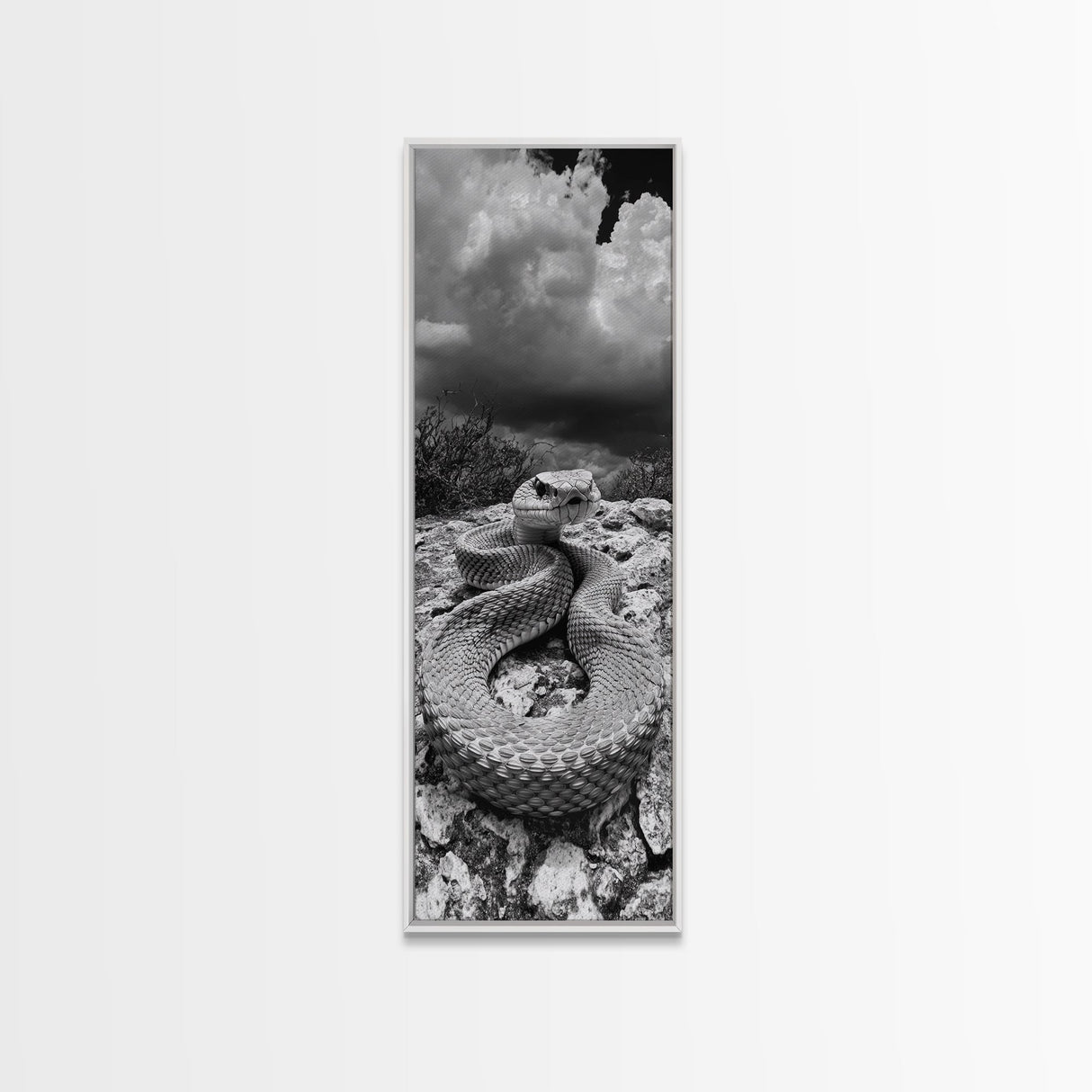 Rattlesnake Desert Art, Framed Canvas Print, southwest wall art, rustic decor, moody art, wildlife photography, cowboy aesthetic, gift idea