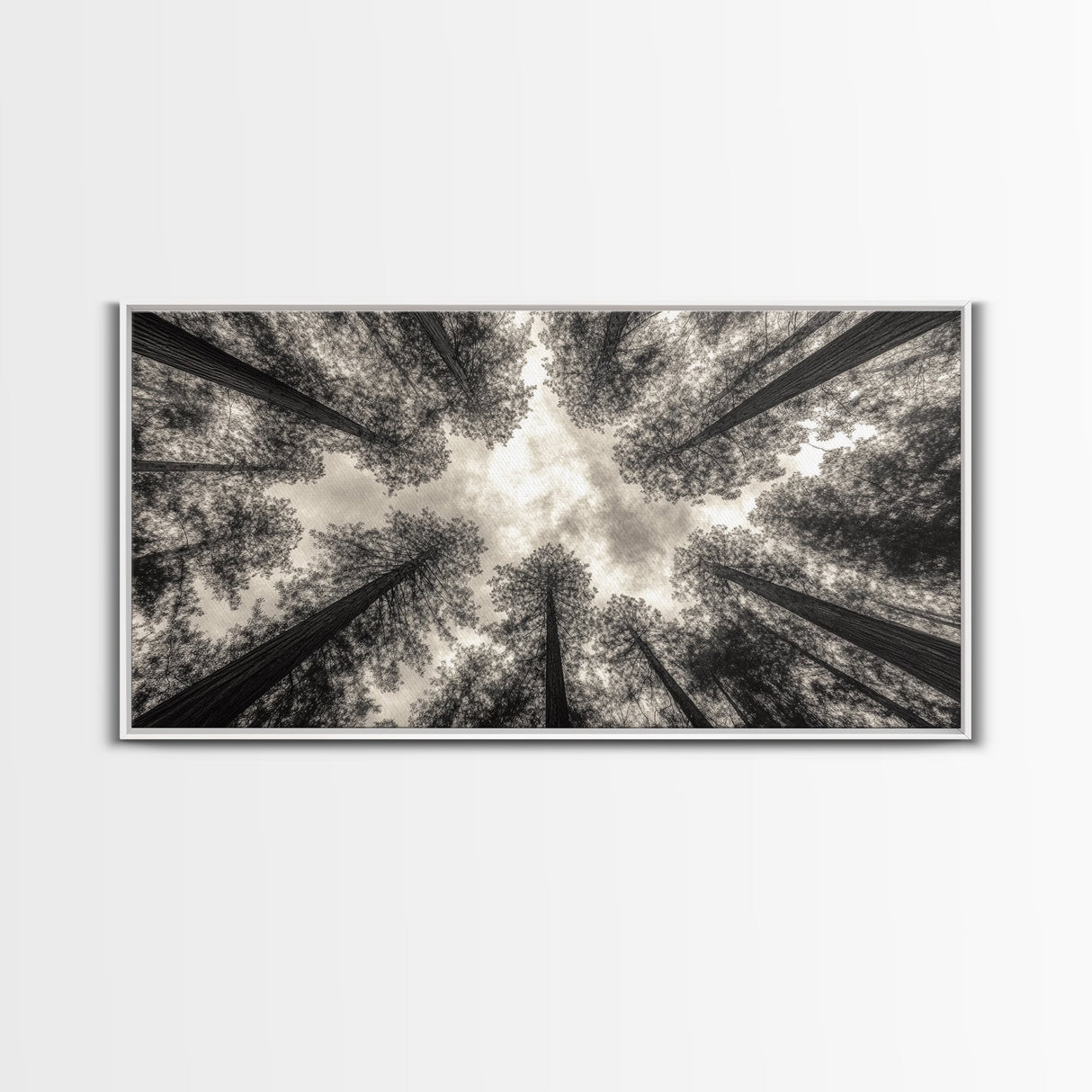 Redwood Trees, Pine Tree Art, Nature Photography, Joshua Tree Art, Extra Wide Art, Forest at Dusk Painting, Canvas Print
