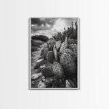 Cactus Trail, southwest wall art, rustic decor, desert painting, wabi sabi art, nature landscape art, framed canvas print, farmhouse decor