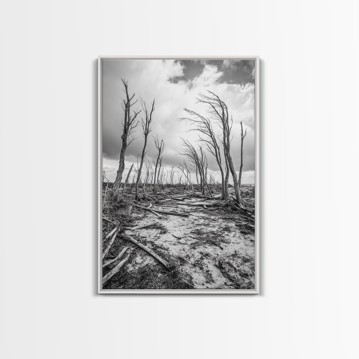 Windblown Trees, stormy sky, moody landscape, wabi sabi art, black and white, framed canvas print, rustic decor, nature photography