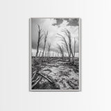 Windblown Trees, stormy sky, moody landscape, wabi sabi art, black and white, framed canvas print, rustic decor, nature photography