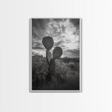 Prickly Pear, cactus art, Joshua tree art, wabi sabi art, moody art, black and white, framed canvas print, minimalist decor, rustic wall art