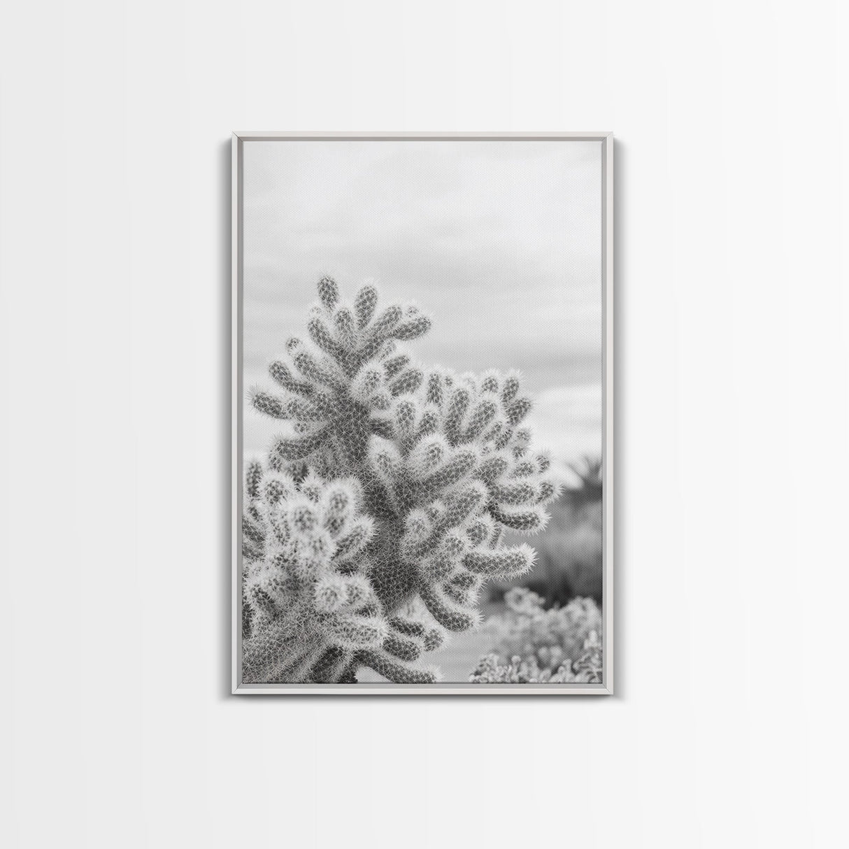 Cactus photography, desert wall art, framed canvas print, Joshua tree art, rustic decor, botanical prints, boho wall art, minimalist art