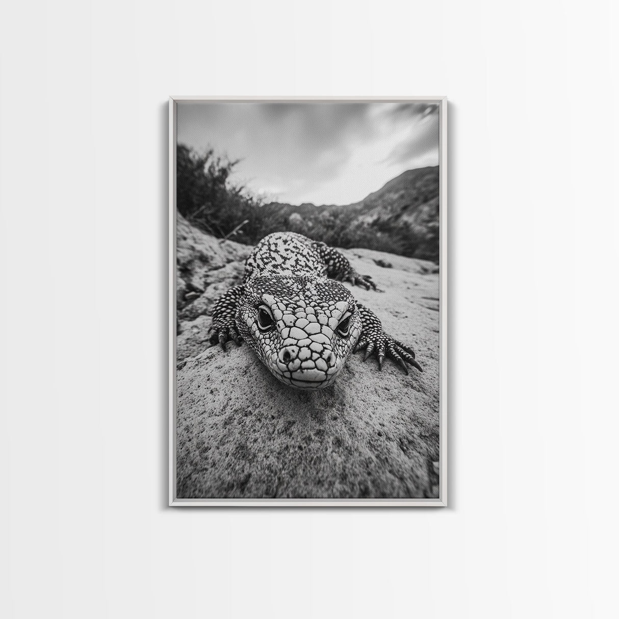 Lizard art, wildlife photography, moody art, desert decor, black and white photography, wabi sabi wall art, framed canvas print, unique gift