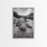 Lizard art, wildlife photography, moody art, desert decor, black and white photography, wabi sabi wall art, framed canvas print, unique gift