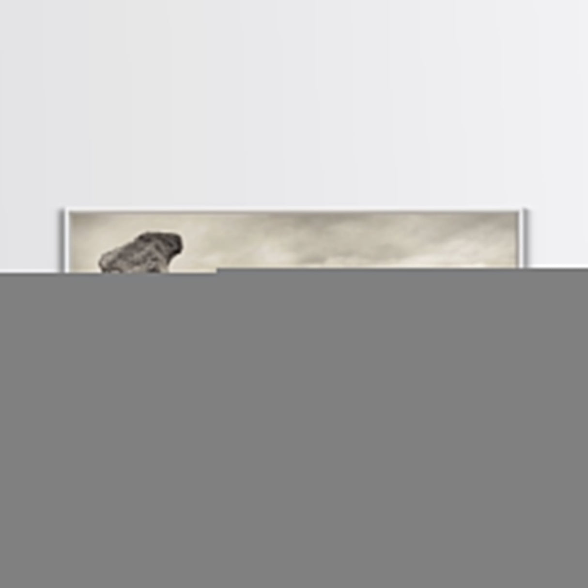 Driftwood Sculpture, Wabi Sabi Art, Canvas Print, Coastal Decor, Rustic Wall Art, Nature Photography, Extra Wide Art, Living Room Art